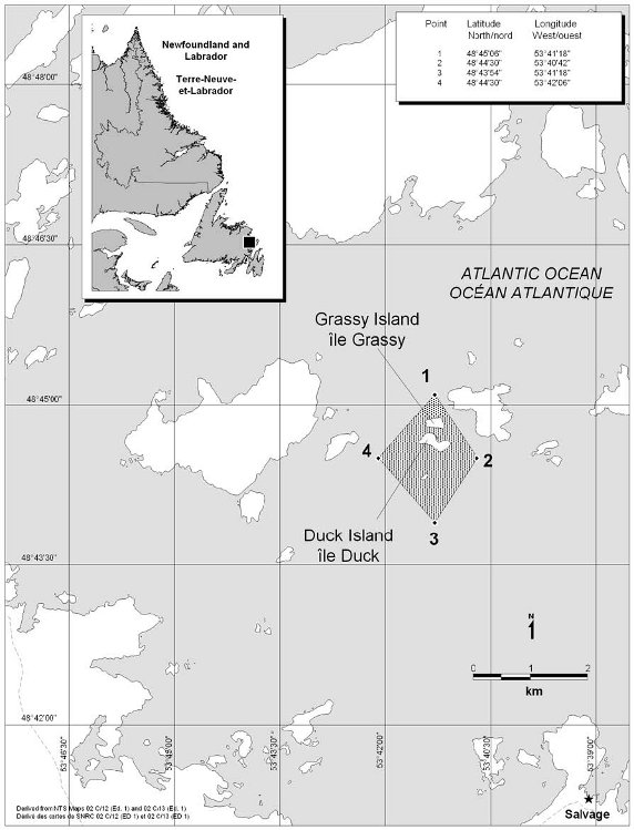 Carte de la zone de protection marine d’Eastport décrite par les coordonnées géographiques de latitude et longitude de quatre points délimitant la zone.