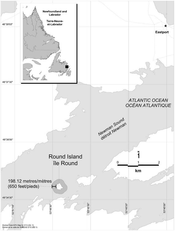Carte de la zone de protection marine d’Eastport - Île Round dont la délimitation extérieure est à une distance de 198,12 mètres (650 pieds) de l’Île Round.