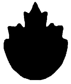 Signe de la marque nationale de sécurité composé de la moitié supérieure d’une feuille d’érable attachée à la moitié inférieure d’un cercle
