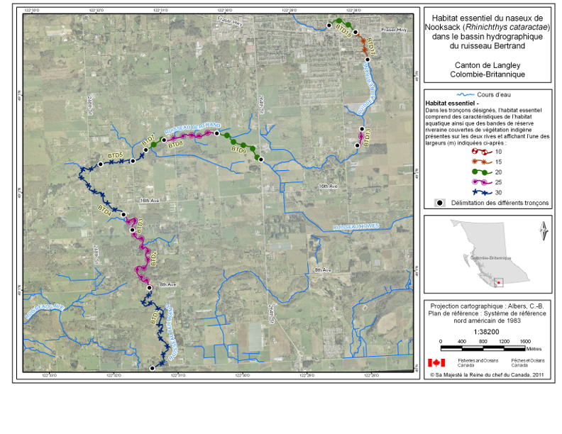 La carte 1 est une carte représentant le bassin hydrographique du ruisseau Bertrand du canton de Langley, en Colombie-Britannique, qui indique les emplacements des tronçons de cours d’eau ayant été désignés en tant qu’habitat essentiel du naseux de Nooksack dans le Programme de rétablissement du naseux de Nooksack au Canada (2008). L’habitat essentiel au sein de ces tronçons englobe tous les habitats aquatiques ainsi que les bandes de réserve riveraines de végétation indigène. Les bandes de réserve riveraines de végétation indigène s’étendent depuis le haut de la rive de chaque côté du cours d’eau et sur les largeurs précisées par le symbole utilisé pour déterminer le tronçon sur la carte. Les coordonnées du point marquant le début et du point marquant la fin de chaque tronçon comportant un habitat essentiel et les largeurs précisées des bandes de réserve riveraines associées à chaque tronçon sont indiquées dans le tableau 1. Les tronçons présentés sur la carte sont étiquetés avec des codes correspondant aux codes utilisés pour définir le tronçon dans le tableau 1.