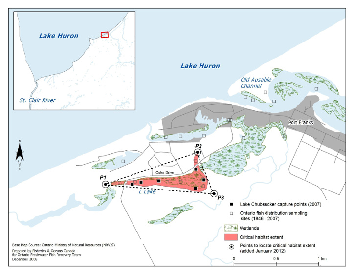 Map 2 is a map of a portion of Lake Huron’s south-eastern shore, inland to L Lake. Three points, namely, P1, P2 and P3, form a triangle on the map within which the extent of the Lake Chubsucker’s critical habitat is illustrated for L Lake. The map indicates Lake Chubsucker capture points (2007) as well as Ontario fish distribution sampling sites (1846–2007). A smaller scale map including the area depicted by Map 2 and its surroundings is inset at the top left corner.