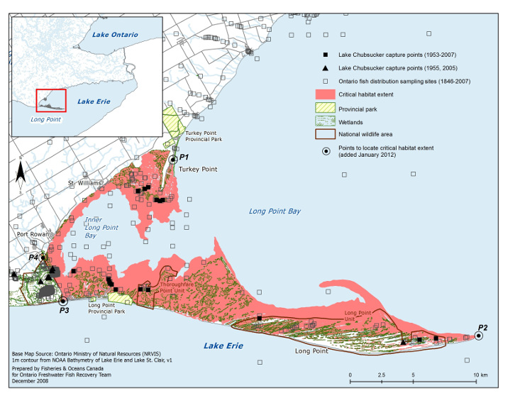 Map 4 is a map of the portion of Lake Erie’s north shore that abuts Long Point Bay, Long Point and Turkey Point. The extent of the Lake Chubsucker’s critical habitat is illustrated and includes waters and wetlands that extend along Lake Erie’s shoreline from Turkey Point, along Inner Long Point Bay and out to the tip of Long Point. Four points, namely, P1, P2, P3 and P4, provide markers delimiting the area within which the critical habitat is located. The map indicates Lake Chubsucker capture points (1953–2007; 1955 and 2005) as well as Ontario fish distribution sampling sites (1846–2007). A smaller scale map including the area depicted by Map 4 and its surroundings is inset at the top left corner.