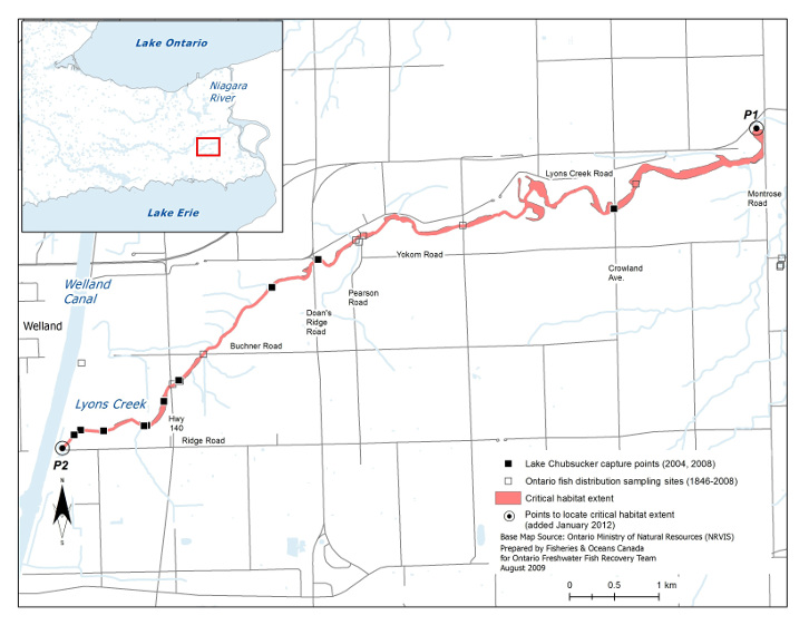 Map 5 is a map of Lyons Creek. The location of the Lake Chubsucker’s critical habitat is illustrated and extends from the Welland Canal, denoted by the point P2, to Montrose Road, denoted by the point P1. The map indicates Lake Chubsucker capture points (2004, 2008) as well as Ontario fish distribution sampling sites (1846–2008). A smaller scale map including the area depicted by Map 5 and its surroundings is inset at the top left corner.